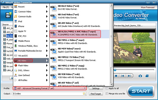 iwisoft flash swf to video converter no audio